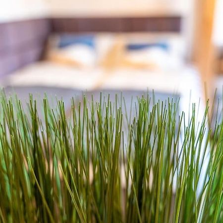 Apartamento Golden Nugget Inkl Wlan, Parkplatz Detmold Exterior foto