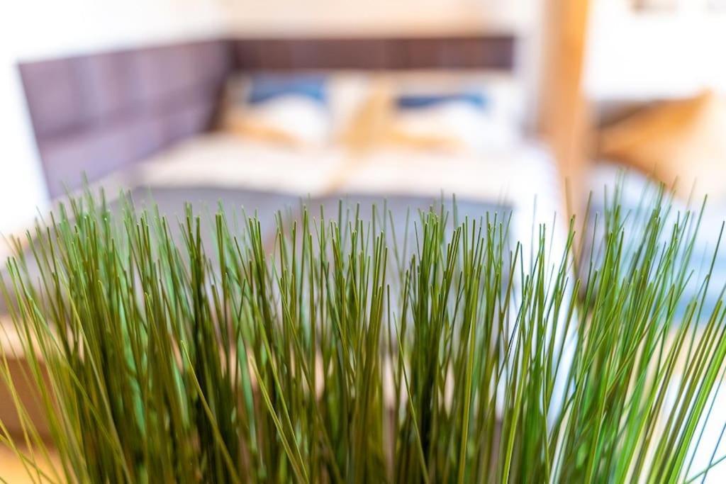 Apartamento Golden Nugget Inkl Wlan, Parkplatz Detmold Exterior foto
